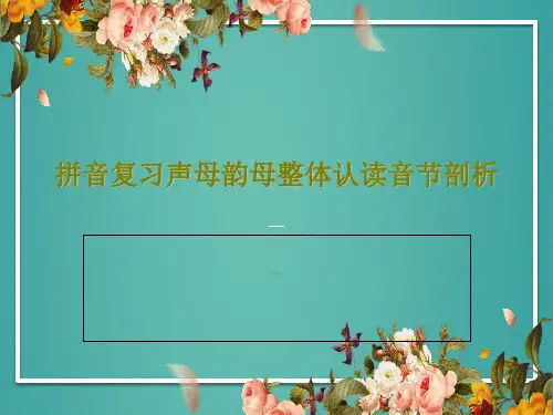 拼音复习声母韵母整体认读音节剖析33页PPT