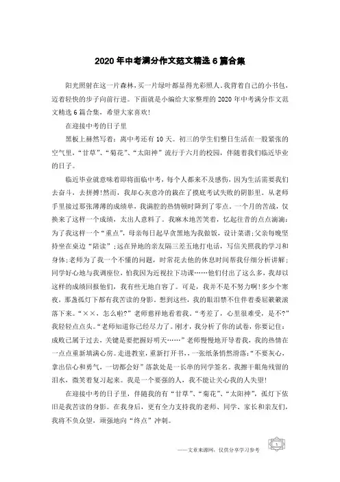 2020年中考满分作文范文精选6篇合集