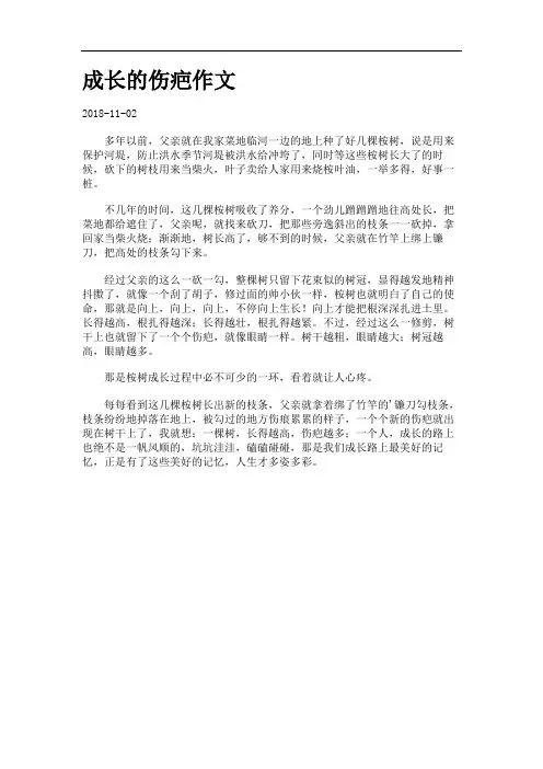 成长的伤疤作文.