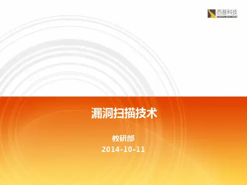 漏洞扫描技术
