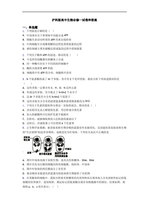 沪科版高中生物必修一试卷和答案