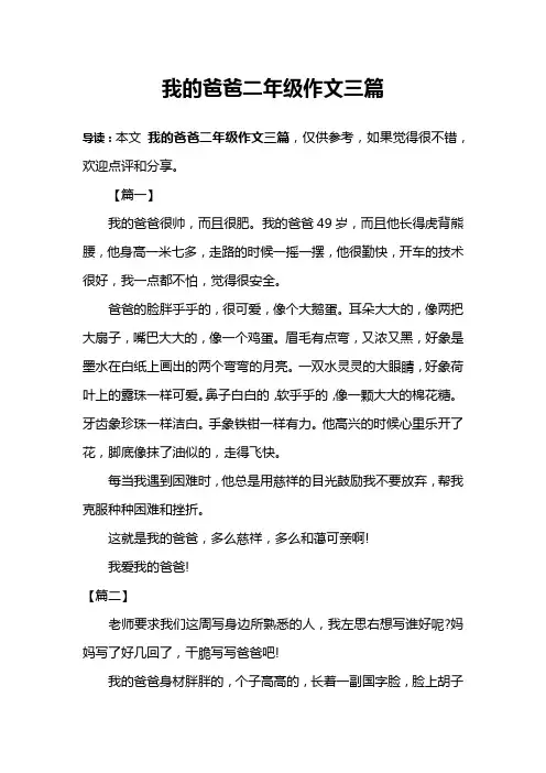 我的爸爸二年级作文三篇