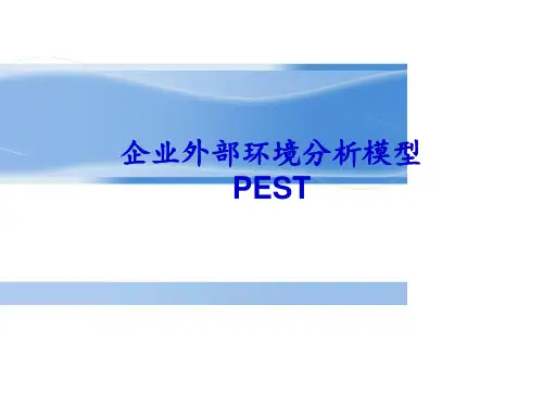 PEST外部环境分析模型
