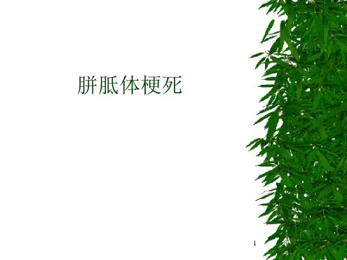 胼胝体梗死附图课件