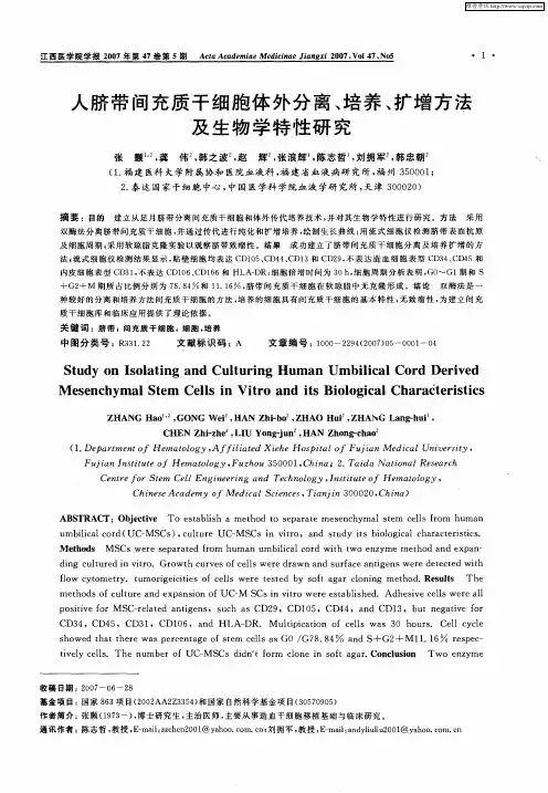 人脐带间充质干细胞体外分离、培养、扩增方法及生物学特性研究