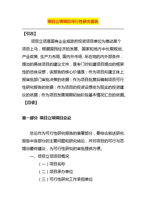 项目立项项目可行性研究报告
