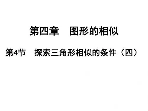 4.4探索三角形相似的条件(4)
