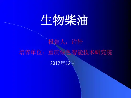 生物柴油简介