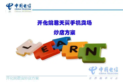 电信炒店方案