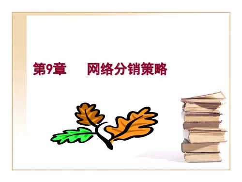 网络分销策略概述.pptx