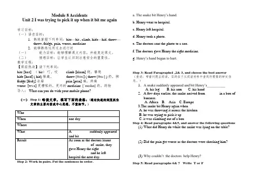 讲课教案 Module8 Unit 2