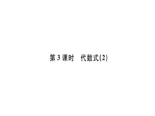 第三章 第3课时 代数式(2)