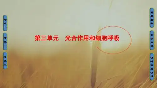 2018届高三生物一轮复习课件 必修1 第3单元 第1讲 A T P和酶 精品