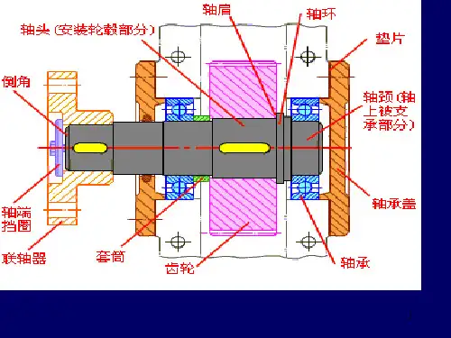 轴的各段直径和长度