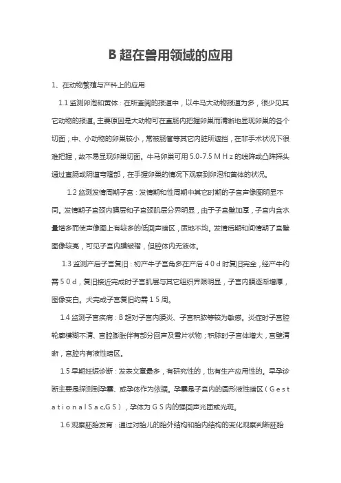 B超在兽用领域的应用