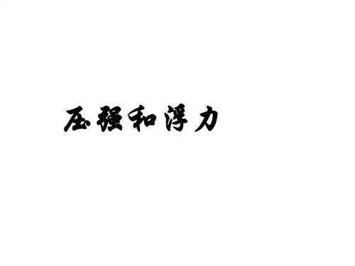 中考复习:第10章压强和浮力