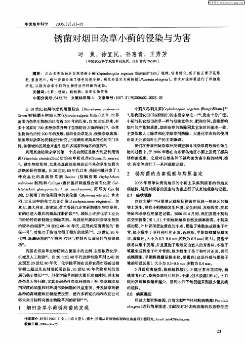 锈菌对烟田杂草小蓟的侵染与为害