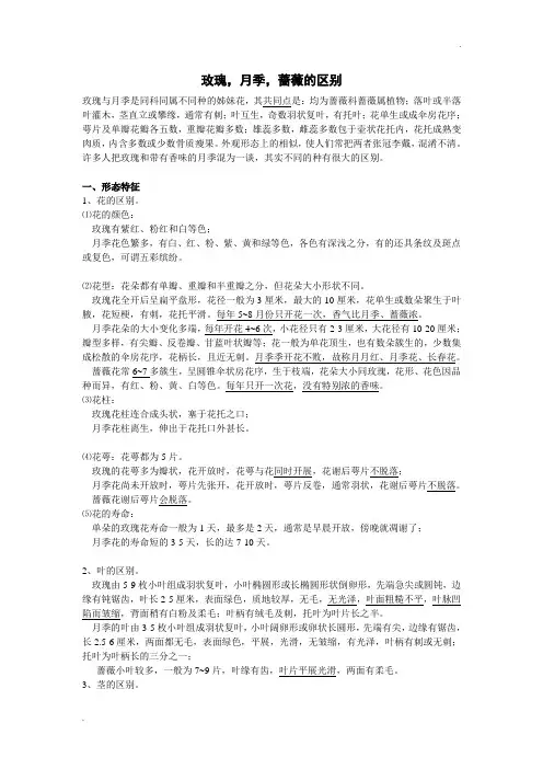 玫瑰月季蔷薇的区别
