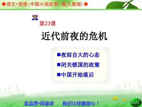 近代前夜的危机