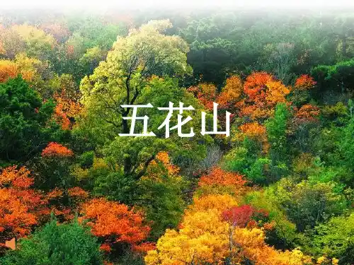 人教版三年级上《五花山》