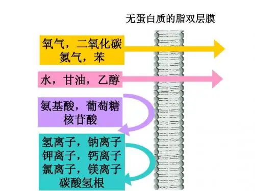 第3节 物质跨膜运输的方式