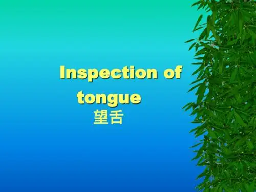 舌 诊