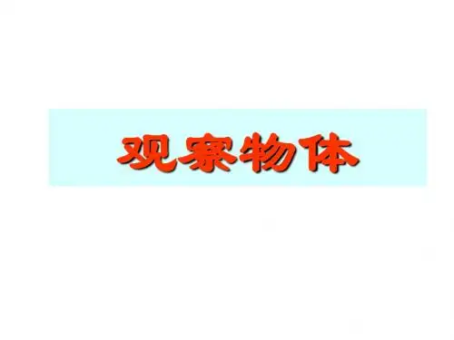 一年级数学观察物体1
