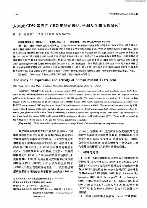人突变CD59基因在CHO细胞的表达、检测及生物活性研究
