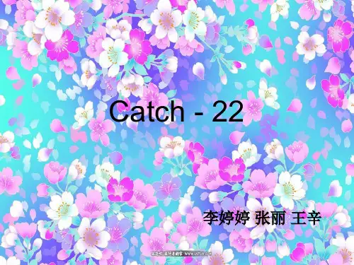 catch-22 文献赏析