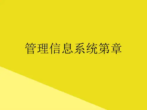 管理信息系统第章PPT资料(正式版)