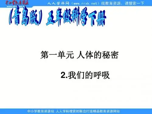 【最新青岛版科学】青岛小学科学五上《7. 我们的呼吸》PPT课 件 (1)