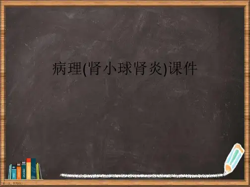 病理肾小球肾炎详解