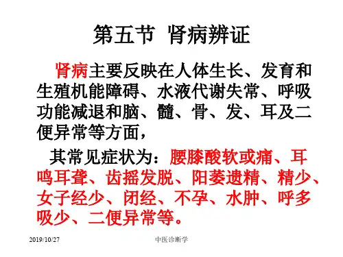 中医诊断学脏腑辨证