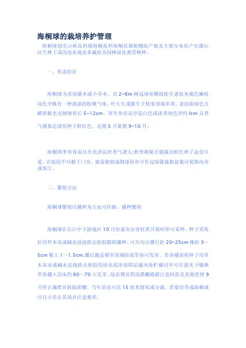 海桐球的栽培养护管理