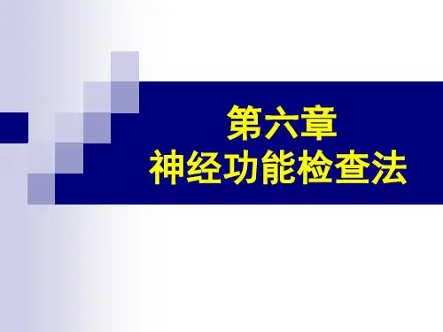 神经功能检查