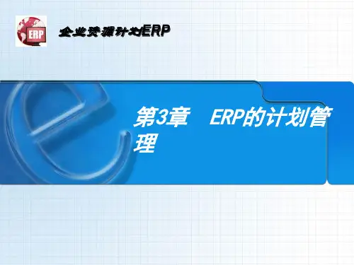 第3章ERP的计划管理XXXX