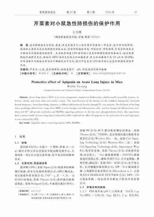 芹菜素对小鼠急性肺损伤的保护作用
