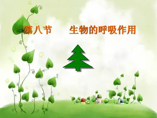 生物的呼吸作用PPT教学课件