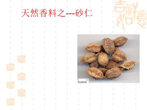砂仁