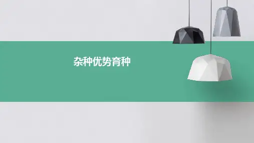 《杂种优势育种》课件