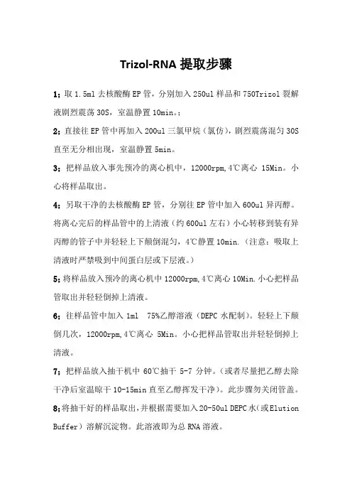 RNA提取步骤trizol法