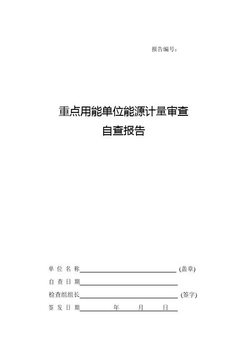 能源计量自查报告