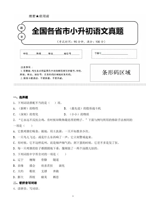 【小升初】2020年河南省濮阳市小升初语文毕业会考试题含答案(全网唯一) 2