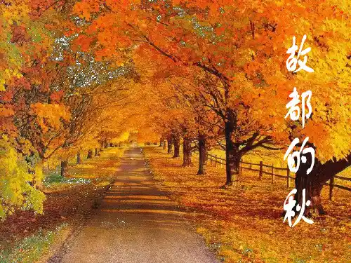 《故都的秋》修改版