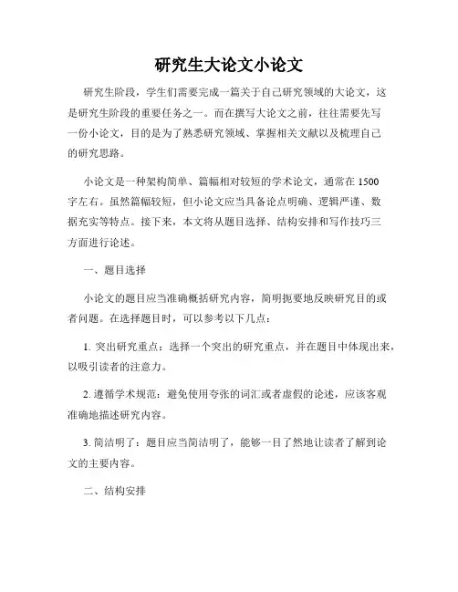研究生大论文小论文