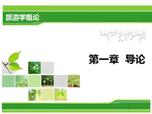 旅游概论-第一章导论PPT课件
