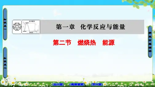 第1章 第2节 燃烧热 能源
