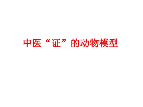 中医证的动物模型研究思路
