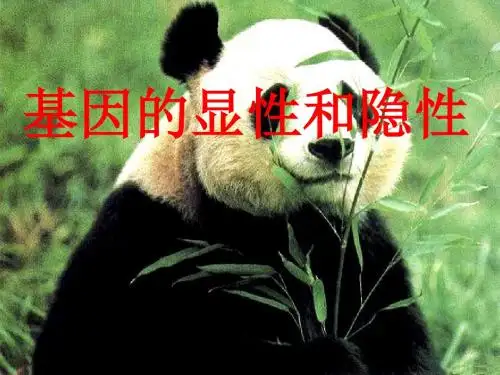 基因的显性和隐性PPT课件2 人教版