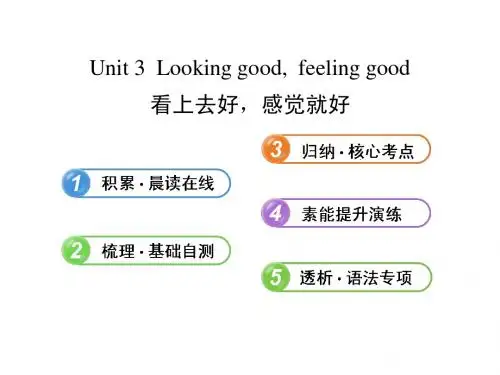 2013版高中英语全程复习方略 课件：必修1 Unit 3 Looking good,feeling good(译林牛津版)